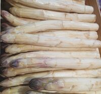 Asperges Blanche 